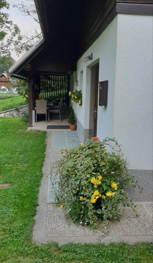 Apartment Sonce 博希尼 外观 照片
