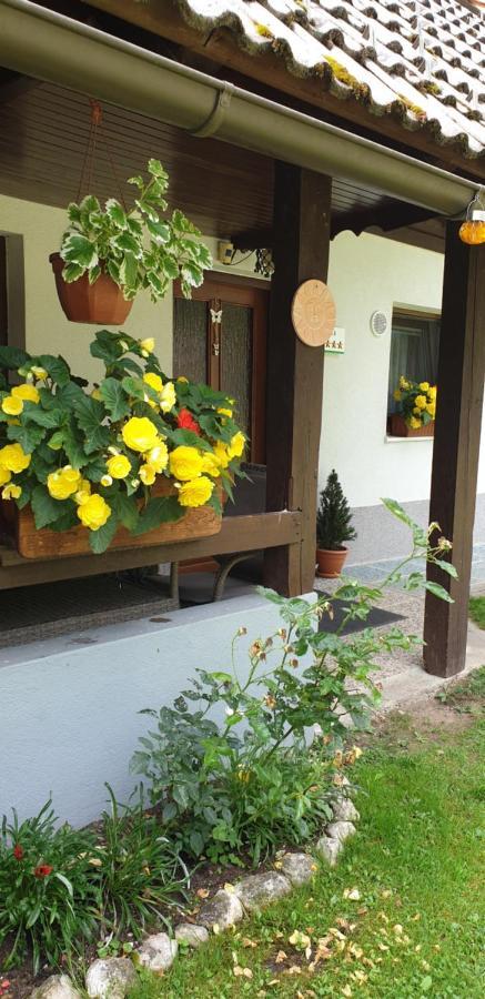 Apartment Sonce 博希尼 外观 照片